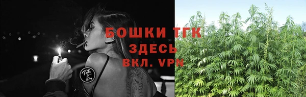 гашик Ладушкин