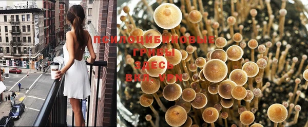марки lsd Кукмор