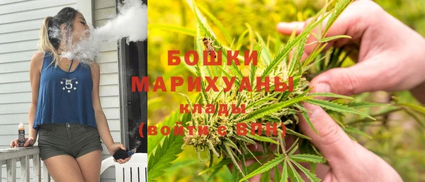 гашик Ладушкин