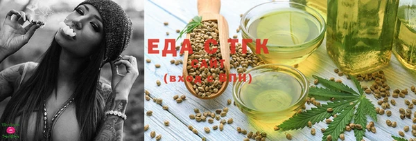 гашик Ладушкин