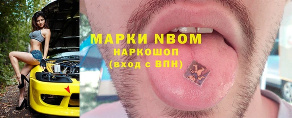 гашик Ладушкин