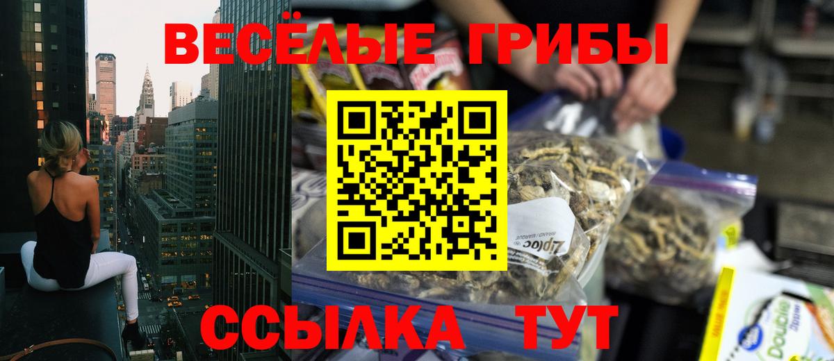 Псилоцибиновые грибы прущие грибы  Псилоцибиновые грибы ЛСД  наркота  Заринск  Вход с VPN 