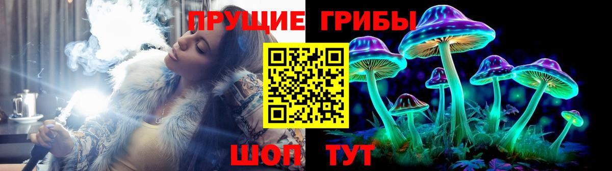 Псилоцибиновые грибы Magic Shrooms Заринск