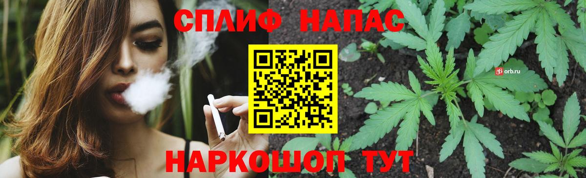 Каннабис VHQ  Вход с VPN  Заринск  Каннабис сатива 